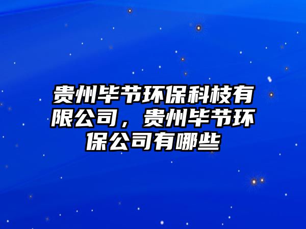 貴州畢節(jié)環(huán)?？浦τ邢薰?，貴州畢節(jié)環(huán)保公司有哪些