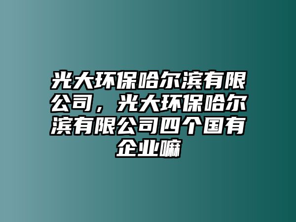 光大環(huán)保哈爾濱有限公司，光大環(huán)保哈爾濱有限公司四個(gè)國有企業(yè)嘛