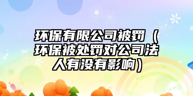 環(huán)保有限公司被罰（環(huán)保被處罰對(duì)公司法人有沒(méi)有影響）