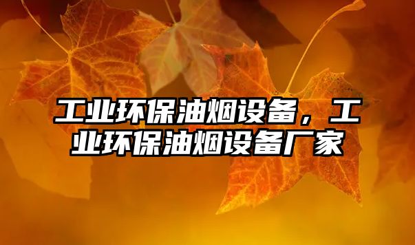 工業(yè)環(huán)保油煙設備，工業(yè)環(huán)保油煙設備廠家