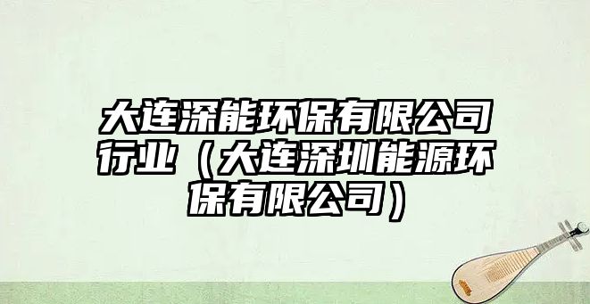 大連深能環(huán)保有限公司行業(yè)（大連深圳能源環(huán)保有限公司）