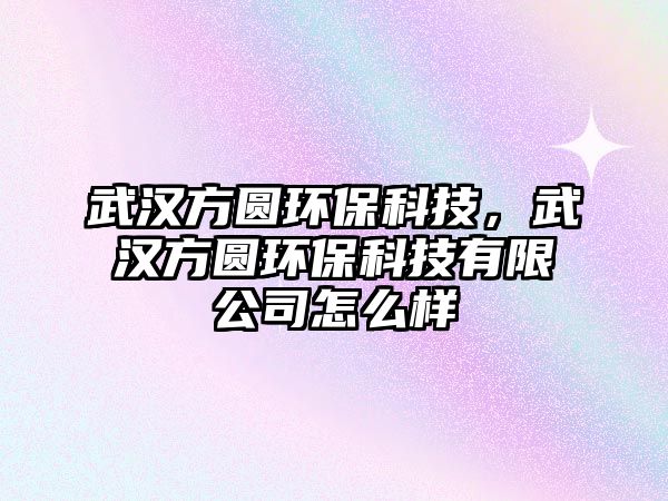 武漢方圓環(huán)?？萍?，武漢方圓環(huán)?？萍加邢薰驹趺礃?/> 
									</a>
									<h4 class=