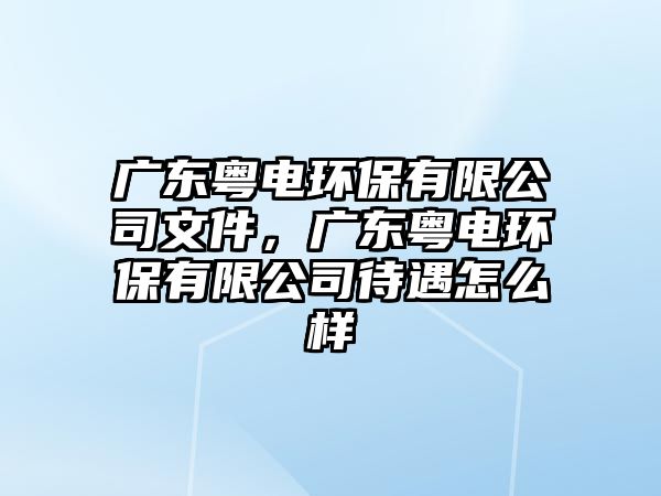 廣東粵電環(huán)保有限公司文件，廣東粵電環(huán)保有限公司待遇怎么樣