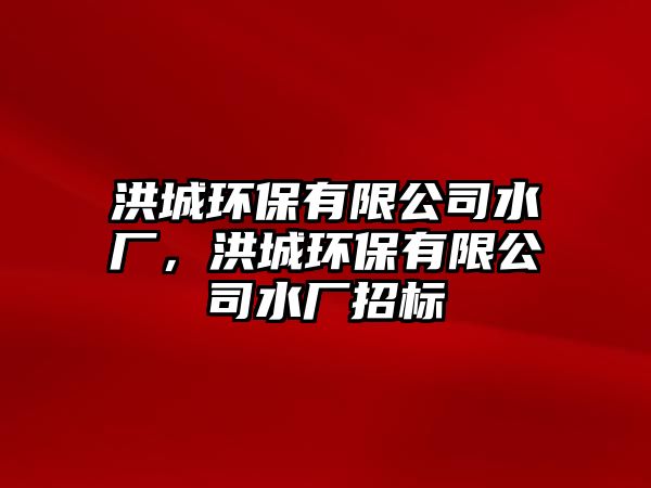 洪城環(huán)保有限公司水廠，洪城環(huán)保有限公司水廠招標(biāo)