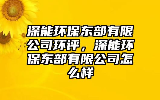 深能環(huán)保東部有限公司環(huán)評，深能環(huán)保東部有限公司怎么樣