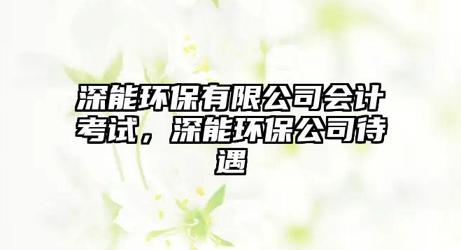 深能環(huán)保有限公司會(huì)計(jì)考試，深能環(huán)保公司待遇