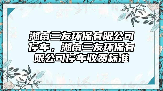 湖南三友環(huán)保有限公司停車，湖南三友環(huán)保有限公司停車收費(fèi)標(biāo)準(zhǔn)