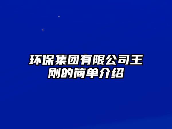 環(huán)保集團有限公司王剛的簡單介紹