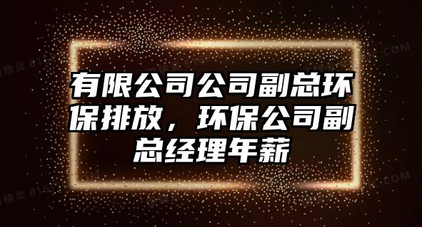 有限公司公司副總環(huán)保排放，環(huán)保公司副總經(jīng)理年薪