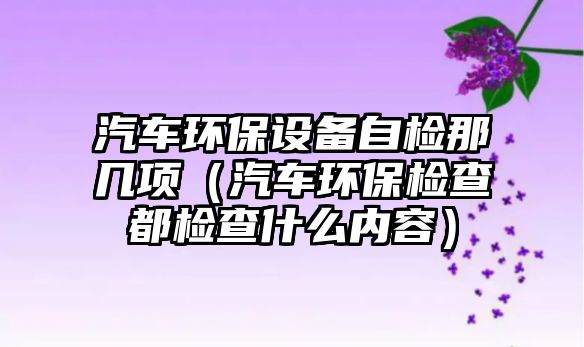 汽車環(huán)保設(shè)備自檢那幾項（汽車環(huán)保檢查都檢查什么內(nèi)容）