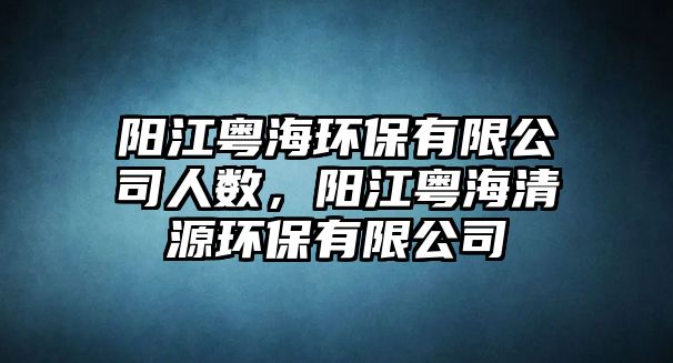 陽(yáng)江粵海環(huán)保有限公司人數(shù)，陽(yáng)江粵海清源環(huán)保有限公司