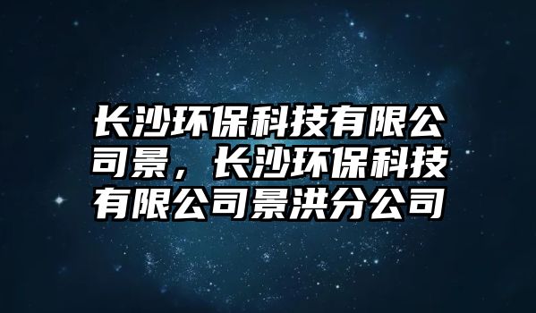 長(zhǎng)沙環(huán)?？萍加邢薰揪埃L(zhǎng)沙環(huán)保科技有限公司景洪分公司