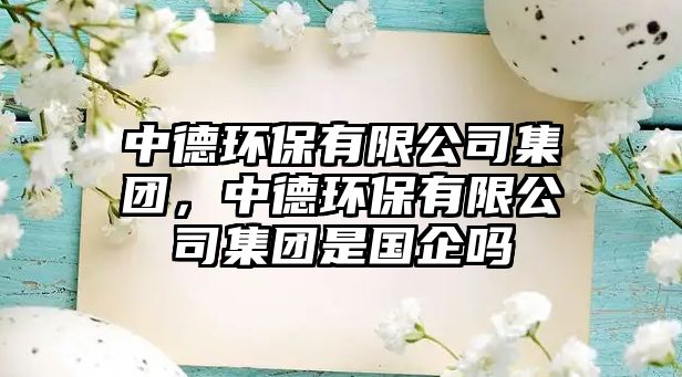 中德環(huán)保有限公司集團(tuán)，中德環(huán)保有限公司集團(tuán)是國(guó)企嗎