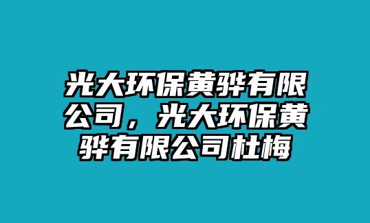 光大環(huán)保黃驊有限公司，光大環(huán)保黃驊有限公司杜梅