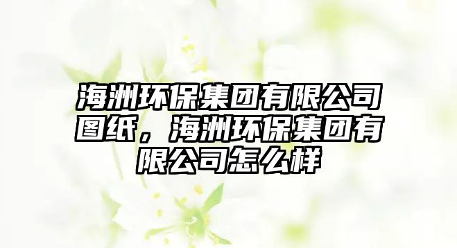 海洲環(huán)保集團(tuán)有限公司圖紙，海洲環(huán)保集團(tuán)有限公司怎么樣