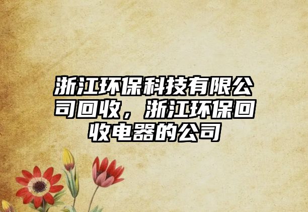 浙江環(huán)保科技有限公司回收，浙江環(huán)?；厥针娖鞯墓? class=