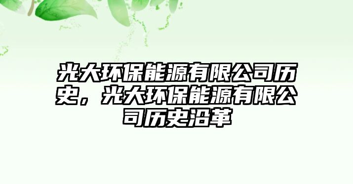 光大環(huán)保能源有限公司歷史，光大環(huán)保能源有限公司歷史沿革