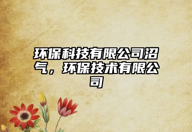 環(huán)保科技有限公司沼氣，環(huán)保技術有限公司