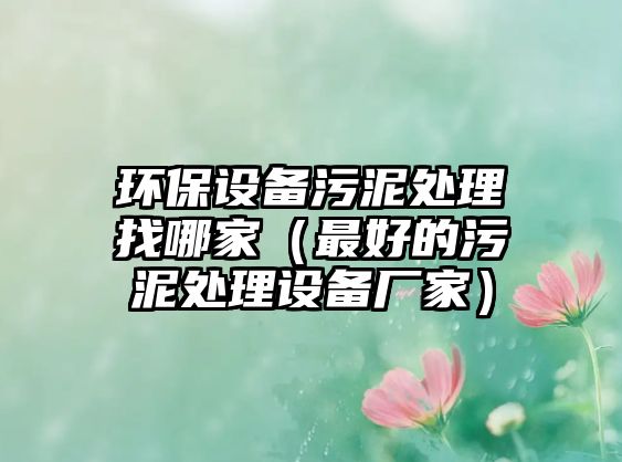 環(huán)保設(shè)備污泥處理找哪家（最好的污泥處理設(shè)備廠家）