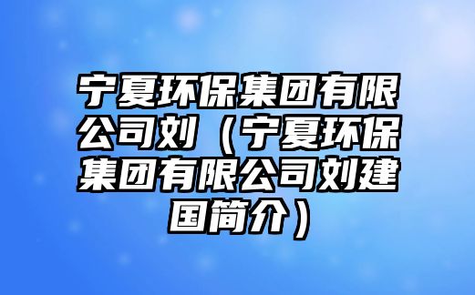 寧夏環(huán)保集團有限公司劉（寧夏環(huán)保集團有限公司劉建國簡介）