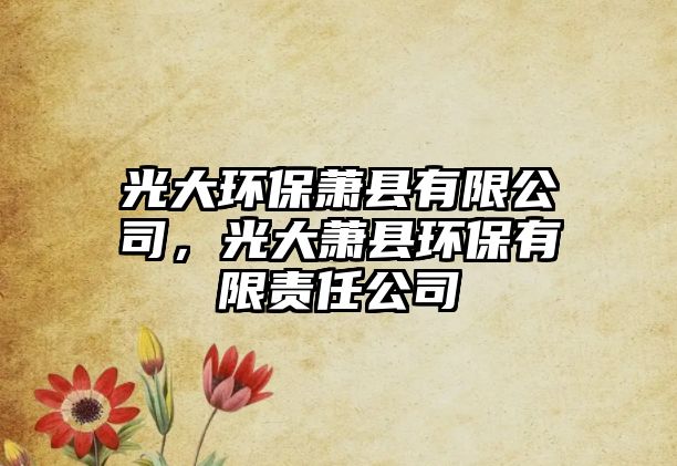 光大環(huán)保蕭縣有限公司，光大蕭縣環(huán)保有限責任公司