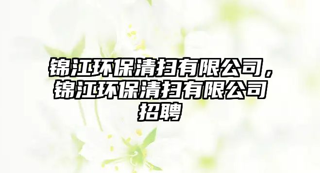 錦江環(huán)保清掃有限公司，錦江環(huán)保清掃有限公司招聘