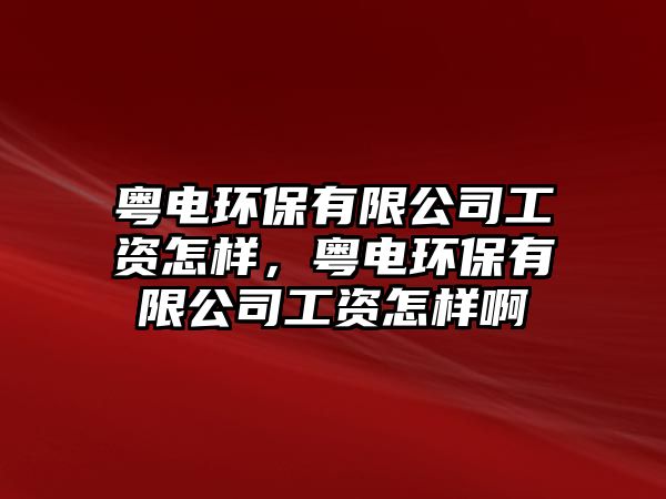 粵電環(huán)保有限公司工資怎樣，粵電環(huán)保有限公司工資怎樣啊