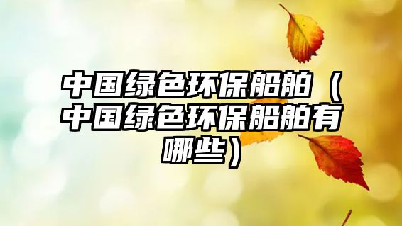 中國綠色環(huán)保船舶（中國綠色環(huán)保船舶有哪些）