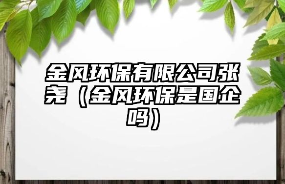 金風(fēng)環(huán)保有限公司張堯（金風(fēng)環(huán)保是國(guó)企嗎）