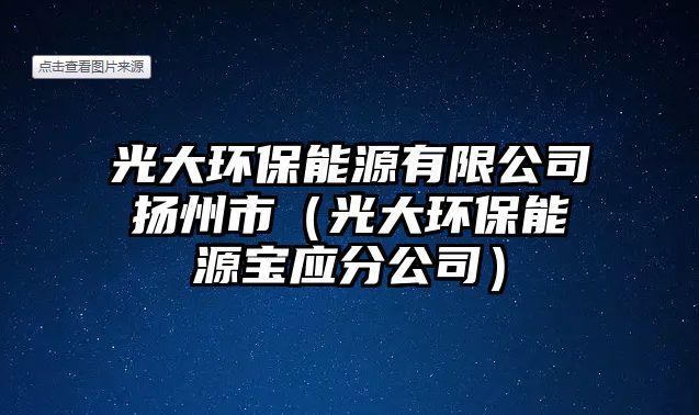 光大環(huán)保能源有限公司揚(yáng)州市（光大環(huán)保能源寶應(yīng)分公司）