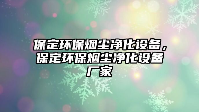 保定環(huán)保煙塵凈化設備，保定環(huán)保煙塵凈化設備廠家