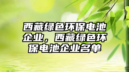 西藏綠色環(huán)保電池企業(yè)，西藏綠色環(huán)保電池企業(yè)名單