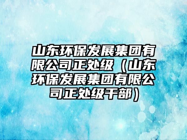 山東環(huán)保發(fā)展集團有限公司正處級（山東環(huán)保發(fā)展集團有限公司正處級干部）