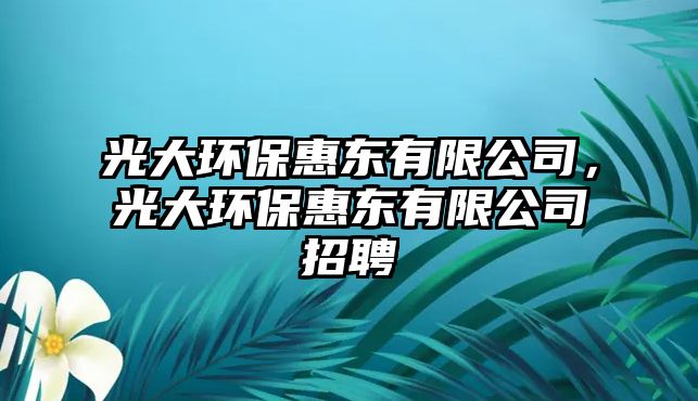 光大環(huán)保惠東有限公司，光大環(huán)保惠東有限公司招聘