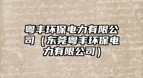 粵豐環(huán)保電力有限公司（東莞粵豐環(huán)保電力有限公司）