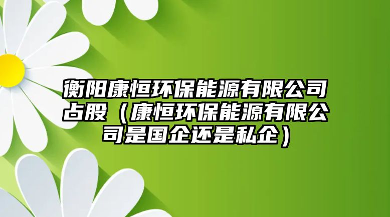 衡陽康恒環(huán)保能源有限公司占股（康恒環(huán)保能源有限公司是國企還是私企）