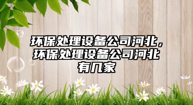 環(huán)保處理設備公司河北，環(huán)保處理設備公司河北有幾家