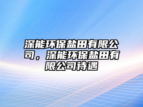 深能環(huán)保鹽田有限公司，深能環(huán)保鹽田有限公司待遇