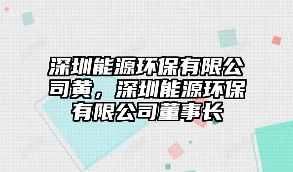 深圳能源環(huán)保有限公司黃，深圳能源環(huán)保有限公司董事長(zhǎng)