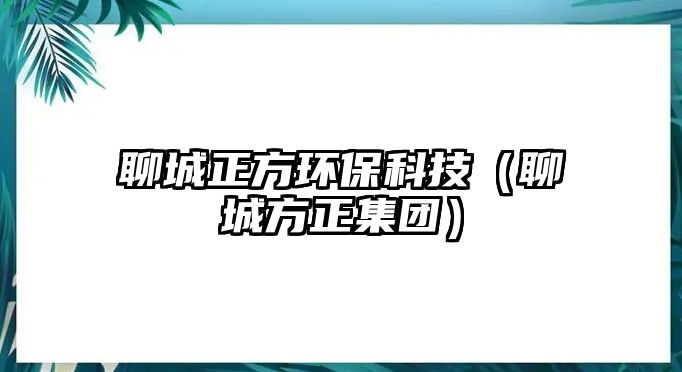 聊城正方環(huán)保科技（聊城方正集團）