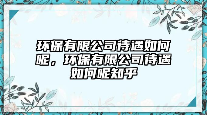 環(huán)保有限公司待遇如何呢，環(huán)保有限公司待遇如何呢知乎