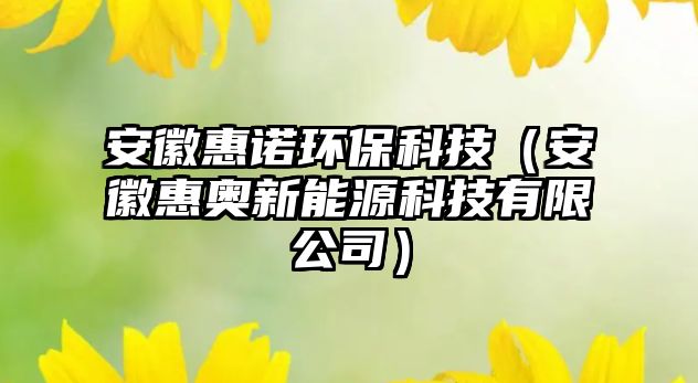 安徽惠諾環(huán)保科技（安徽惠奧新能源科技有限公司）