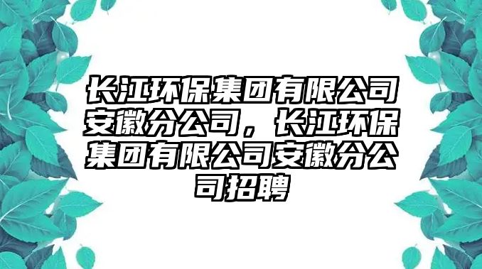 長江環(huán)保集團有限公司安徽分公司，長江環(huán)保集團有限公司安徽分公司招聘