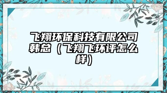 飛翔環(huán)?？萍加邢薰卷n總（飛翔飛環(huán)評怎么樣）