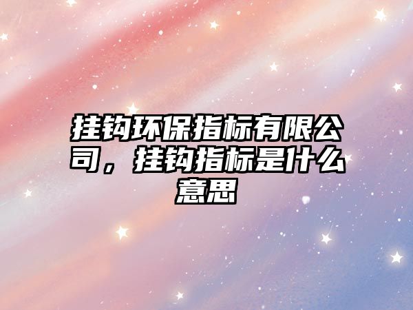 掛鉤環(huán)保指標有限公司，掛鉤指標是什么意思