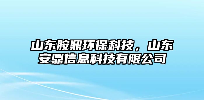 山東胺鼎環(huán)?？萍?，山東安鼎信息科技有限公司