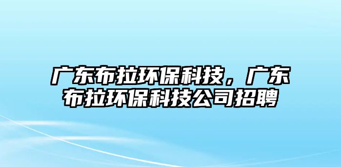 廣東布拉環(huán)?？萍?，廣東布拉環(huán)保科技公司招聘