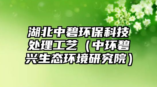 湖北中碧環(huán)?？萍继幚砉に嚕ㄖ协h(huán)碧興生態(tài)環(huán)境研究院）