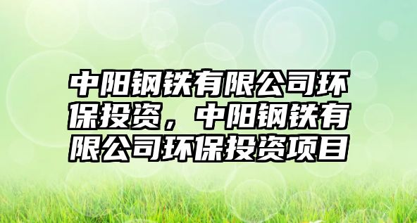 中陽鋼鐵有限公司環(huán)保投資，中陽鋼鐵有限公司環(huán)保投資項目