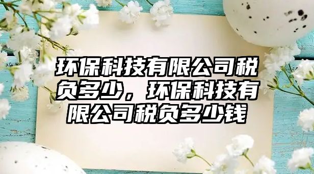 環(huán)?？萍加邢薰径愗摱嗌?，環(huán)保科技有限公司稅負多少錢